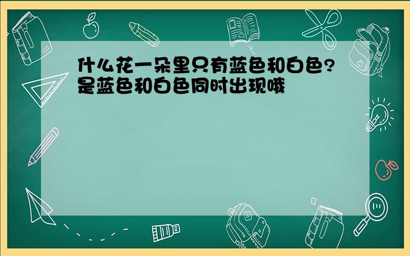 什么花一朵里只有蓝色和白色?是蓝色和白色同时出现哦