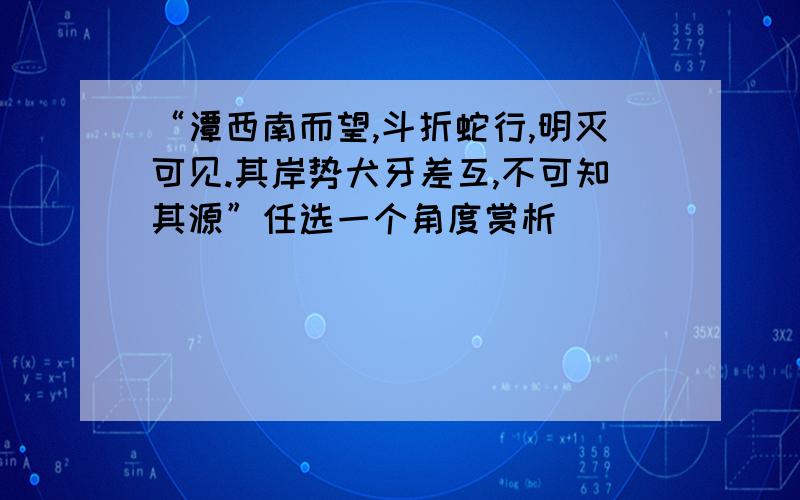 “潭西南而望,斗折蛇行,明灭可见.其岸势犬牙差互,不可知其源”任选一个角度赏析