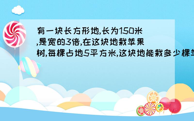 有一块长方形地,长为150米,是宽的3倍,在这块地栽苹果树,每棵占地5平方米,这块地能栽多少棵苹果树