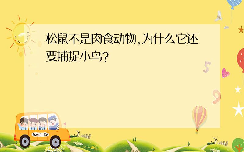 松鼠不是肉食动物,为什么它还要捕捉小鸟?