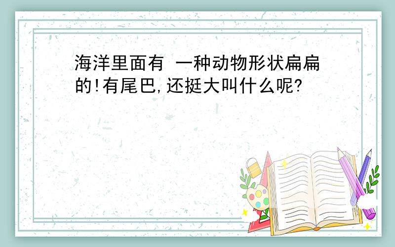 海洋里面有 一种动物形状扁扁的!有尾巴,还挺大叫什么呢?