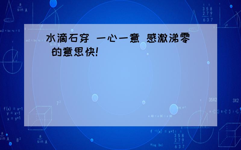 水滴石穿 一心一意 感激涕零 的意思快!