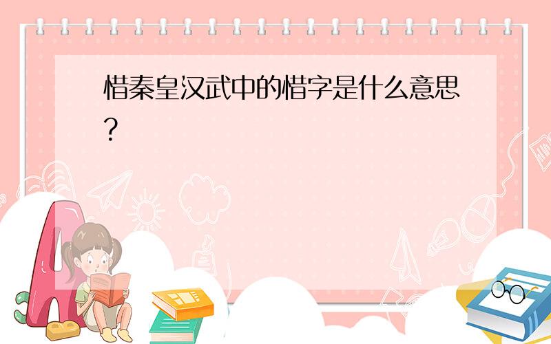 惜秦皇汉武中的惜字是什么意思?