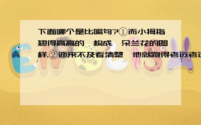 下面哪个是比喻句?①而小拇指翘得高高的,构成一朵兰花的图样.②还来不及看清楚,他就跑得老远老远了,像闪电一样快.哪个是比喻句啊?我怎么觉得全都是呢?