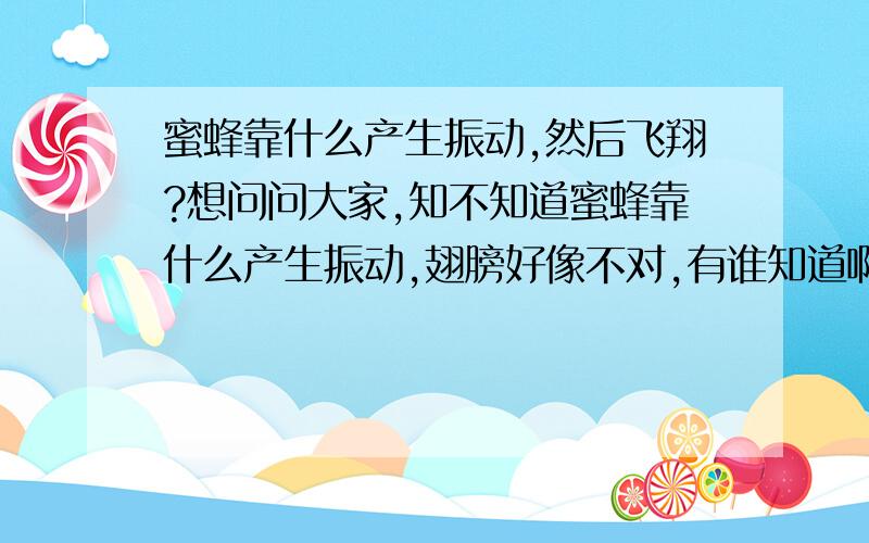 蜜蜂靠什么产生振动,然后飞翔?想问问大家,知不知道蜜蜂靠什么产生振动,翅膀好像不对,有谁知道啊?