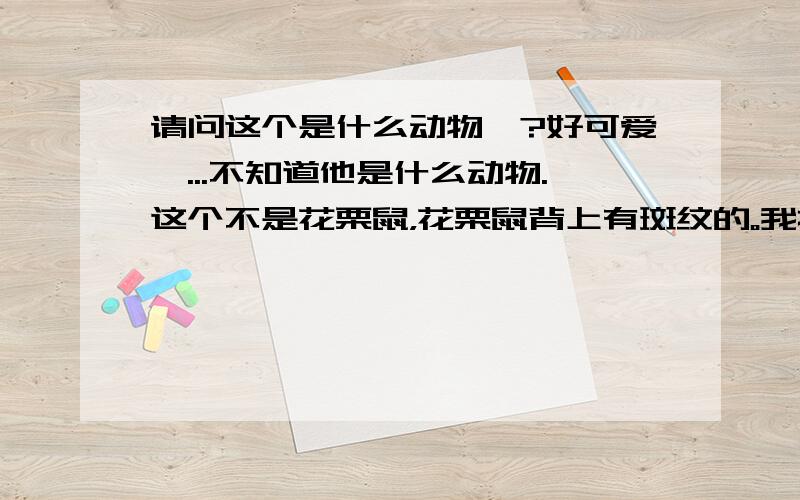 请问这个是什么动物吖?好可爱吖...不知道他是什么动物.这个不是花栗鼠，花栗鼠背上有斑纹的。我搜了，根本不一样，也不是鼹鼠。