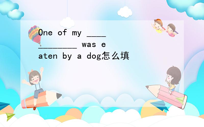 One of my ____________ was eaten by a dog怎么填