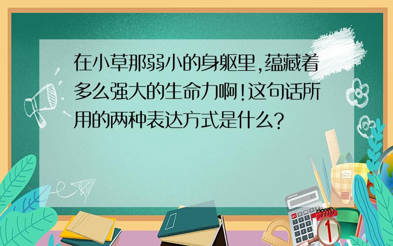 在小草那弱小的身躯里,蕴藏着多么强大的生命力啊!这句话所用的两种表达方式是什么?