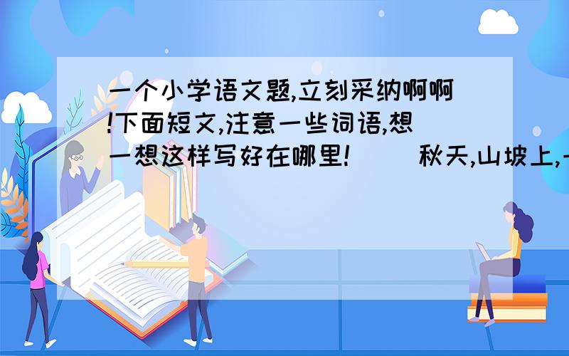 一个小学语文题,立刻采纳啊啊!下面短文,注意一些词语,想一想这样写好在哪里!     秋天,山坡上,一排排的柿子树,挂满了像小红灯笼的狮子.山顶上,有红的山楂,有不大的树头红,有紫色的葡萄