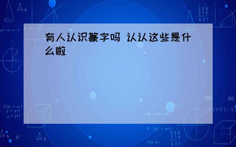 有人认识篆字吗 认认这些是什么啦