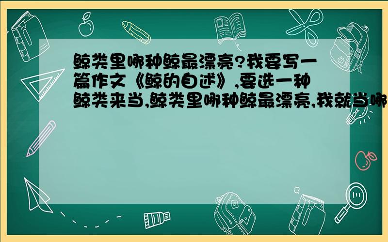 鲸类里哪种鲸最漂亮?我要写一篇作文《鲸的自述》,要选一种鲸类来当,鲸类里哪种鲸最漂亮,我就当哪个.速速速速速速速速速速速速速速速速速速速速速速速速速速速速速速速速!