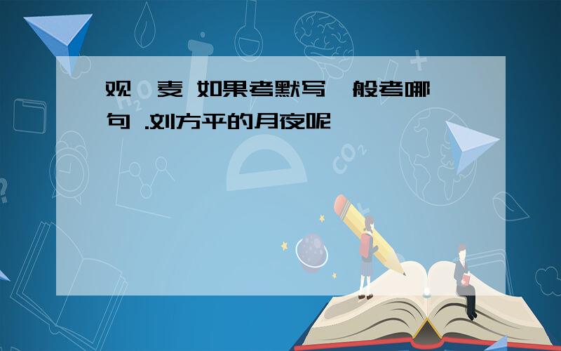 观刈麦 如果考默写一般考哪一句 .刘方平的月夜呢