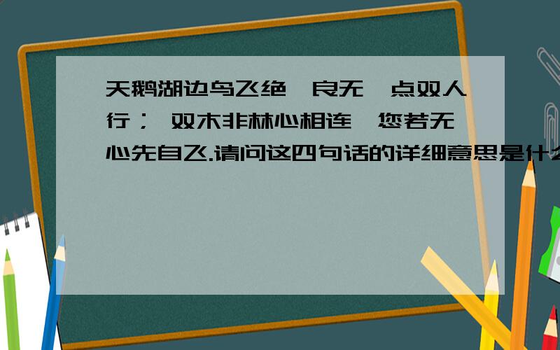 天鹅湖边鸟飞绝,良无一点双人行； 双木非林心相连,您若无心先自飞.请问这四句话的详细意思是什么...天鹅湖边鸟飞绝,良无一点双人行；双木非林心相连,您若无心先自飞.请问这四句话的详