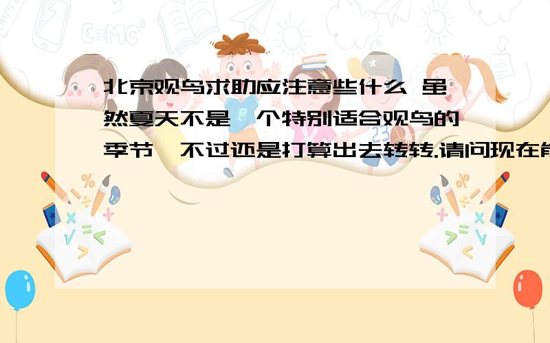 北京观鸟求助应注意些什么 虽然夏天不是一个特别适合观鸟的季节,不过还是打算出去转转.请问现在能看到的鸟类大概有哪些,在哪里能够看到?怎么办呢?nbfco24111