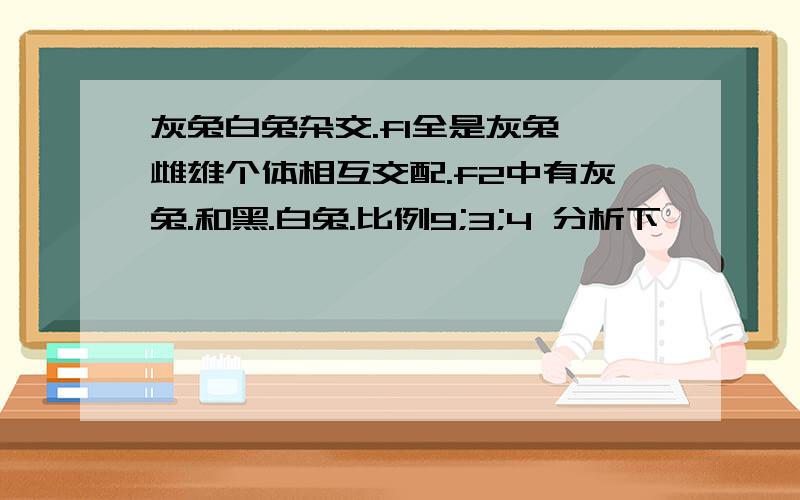 灰兔白兔杂交.f1全是灰兔,雌雄个体相互交配.f2中有灰兔.和黑.白兔.比例9;3;4 分析下