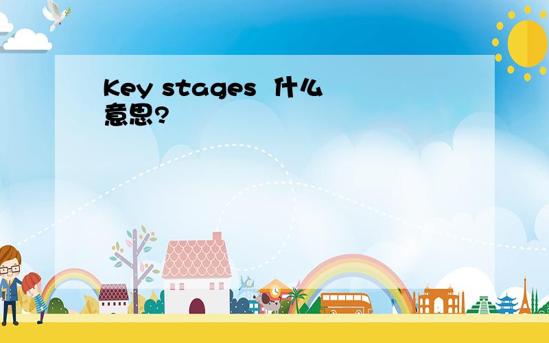 Key stages  什么意思?