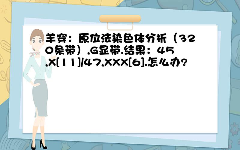 羊穿：原位法染色体分析（320条带）,G显带.结果：45,X[11]/47,XXX[6].怎么办?