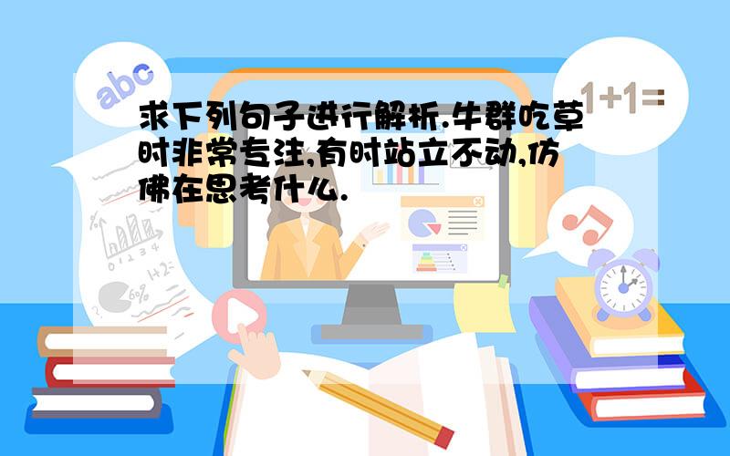 求下列句子进行解析.牛群吃草时非常专注,有时站立不动,仿佛在思考什么.