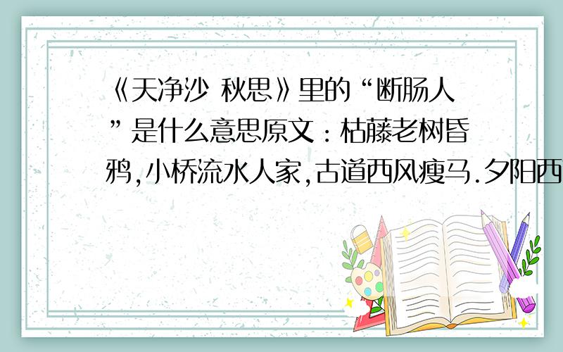 《天净沙 秋思》里的“断肠人”是什么意思原文：枯藤老树昏鸦,小桥流水人家,古道西风瘦马.夕阳西下,断肠人在天涯.