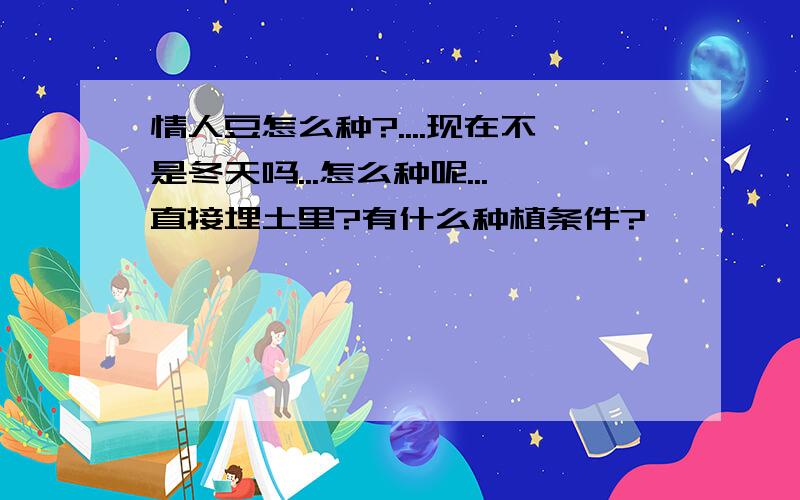 情人豆怎么种?....现在不是冬天吗...怎么种呢...直接埋土里?有什么种植条件?