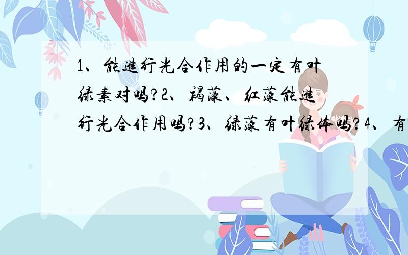 1、能进行光合作用的一定有叶绿素对吗?2、褐藻、红藻能进行光合作用吗?3、绿藻有叶绿体吗?4、有只有叶绿体却没叶绿素的生物吗?