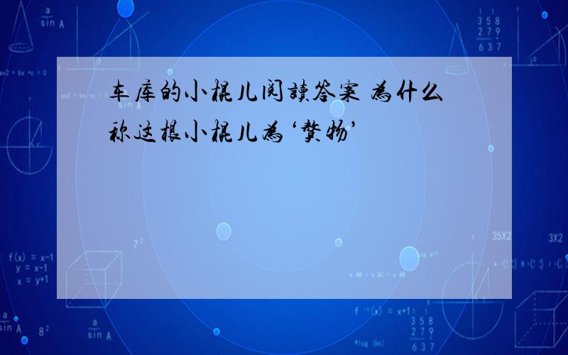 车库的小棍儿阅读答案 为什么称这根小棍儿为‘赘物’