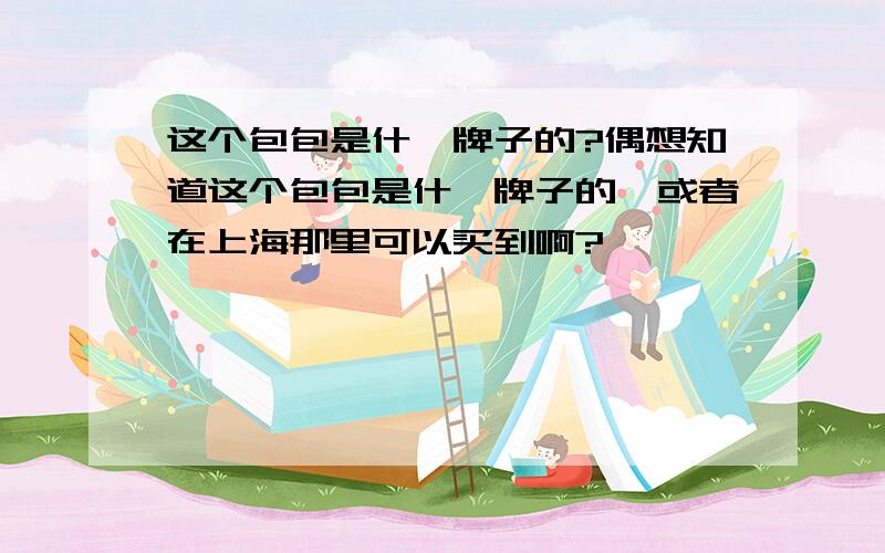 这个包包是什麼牌子的?偶想知道这个包包是什麼牌子的,或者在上海那里可以买到啊?