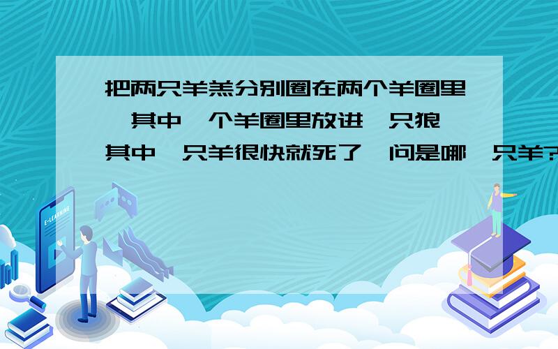 把两只羊羔分别圈在两个羊圈里,其中一个羊圈里放进一只狼,其中一只羊很快就死了,问是哪一只羊?为什么?能分析得专业一点吗?