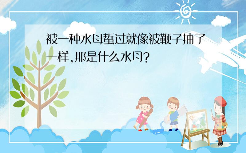 被一种水母蜇过就像被鞭子抽了一样,那是什么水母?