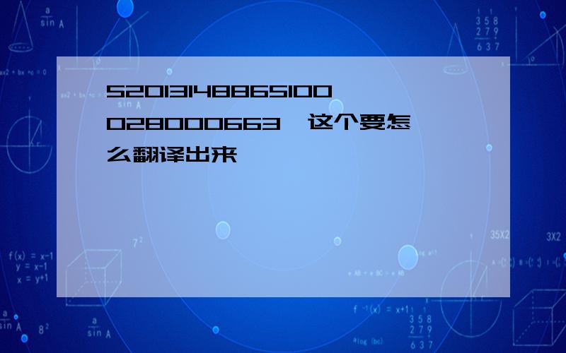 52013148865100028000663,这个要怎么翻译出来,