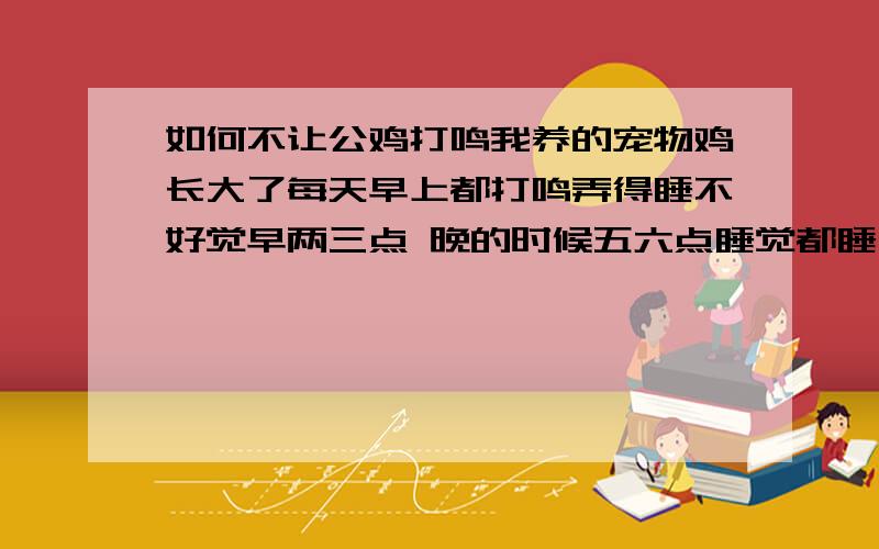 如何不让公鸡打鸣我养的宠物鸡长大了每天早上都打鸣弄得睡不好觉早两三点 晚的时候五六点睡觉都睡不好请问怎么不让他打鸣前提（不杀 不毒死）