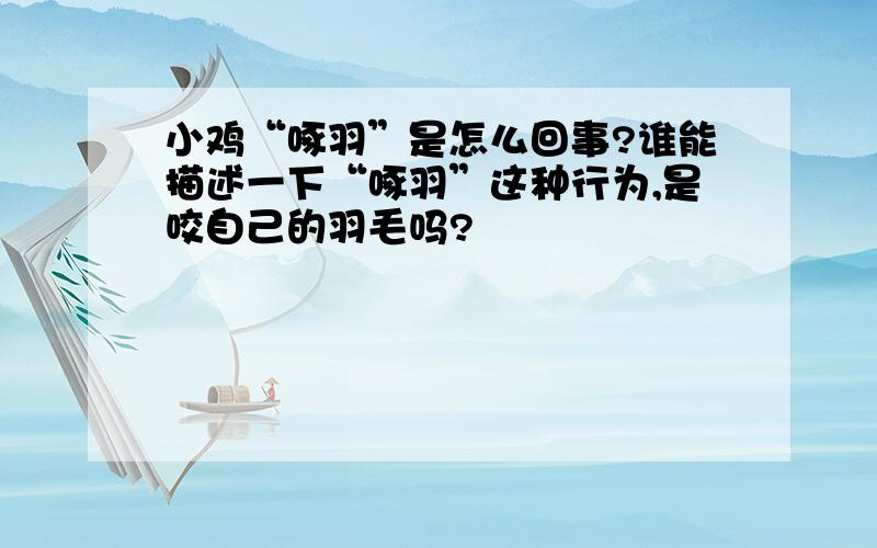 小鸡“啄羽”是怎么回事?谁能描述一下“啄羽”这种行为,是咬自己的羽毛吗?