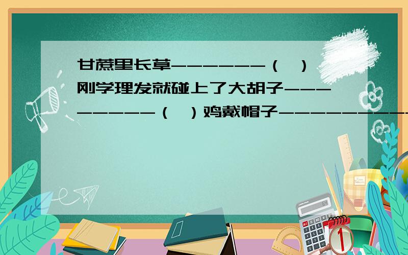 甘蔗里长草------（ ）刚学理发就碰上了大胡子--------（ ）鸡戴帽子-------------（ ）电灯泡上擦洋洋--------------（ ）