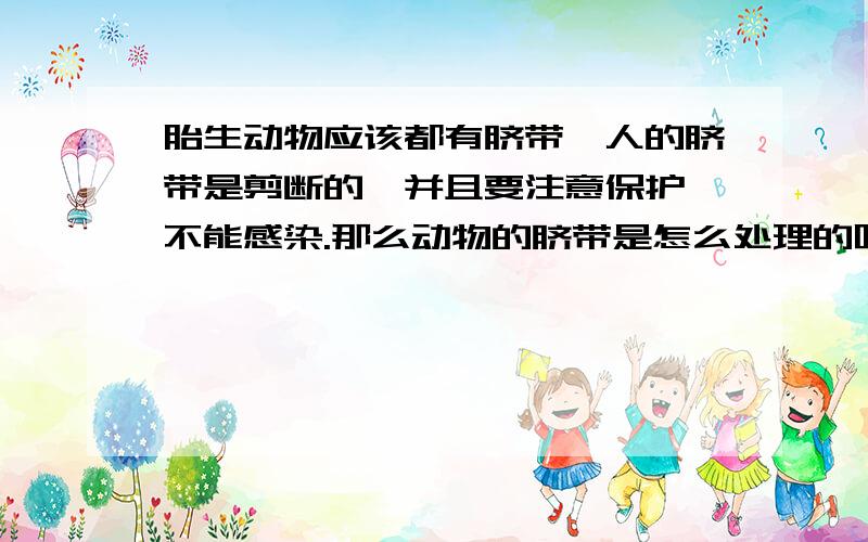 胎生动物应该都有脐带,人的脐带是剪断的,并且要注意保护,不能感染.那么动物的脐带是怎么处理的呢?有没有感染、大出血……的危险?