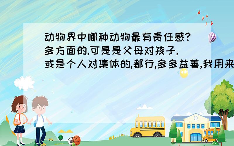 动物界中哪种动物最有责任感?多方面的,可是是父母对孩子,或是个人对集体的,都行,多多益善,我用来写演讲稿的,越祥越好!