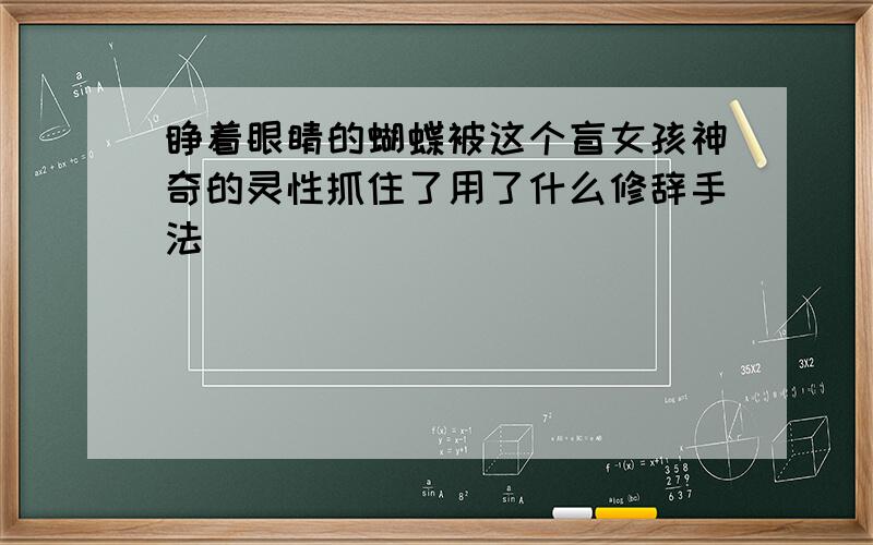 睁着眼睛的蝴蝶被这个盲女孩神奇的灵性抓住了用了什么修辞手法