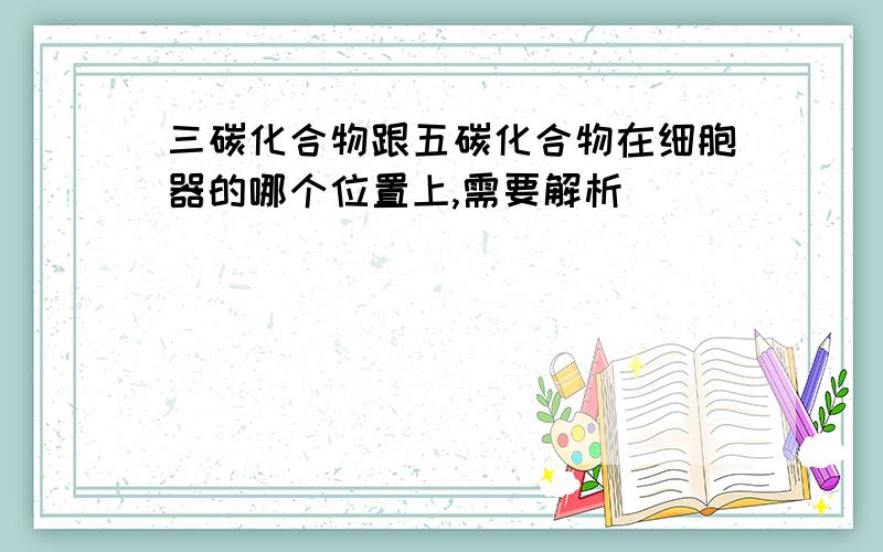 三碳化合物跟五碳化合物在细胞器的哪个位置上,需要解析