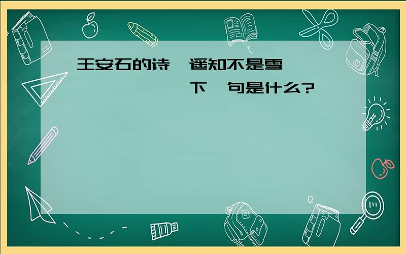 王安石的诗,遥知不是雪,————————下一句是什么?