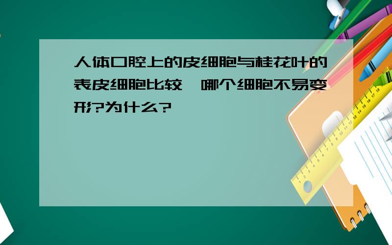 人体口腔上的皮细胞与桂花叶的表皮细胞比较,哪个细胞不易变形?为什么?