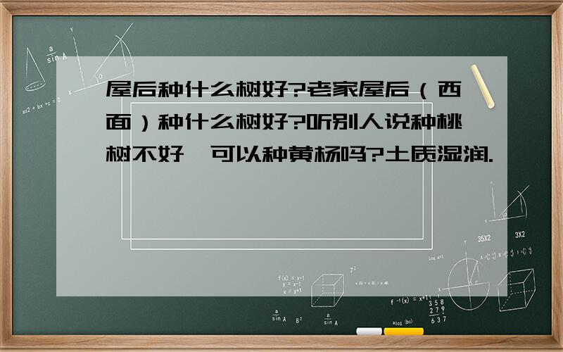 屋后种什么树好?老家屋后（西面）种什么树好?听别人说种桃树不好,可以种黄杨吗?土质湿润.