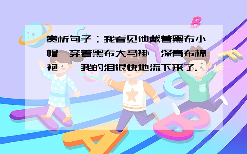 赏析句子：我看见他戴着黑布小帽,穿着黑布大马褂,深青布棉袍……我的泪很快地流下来了.