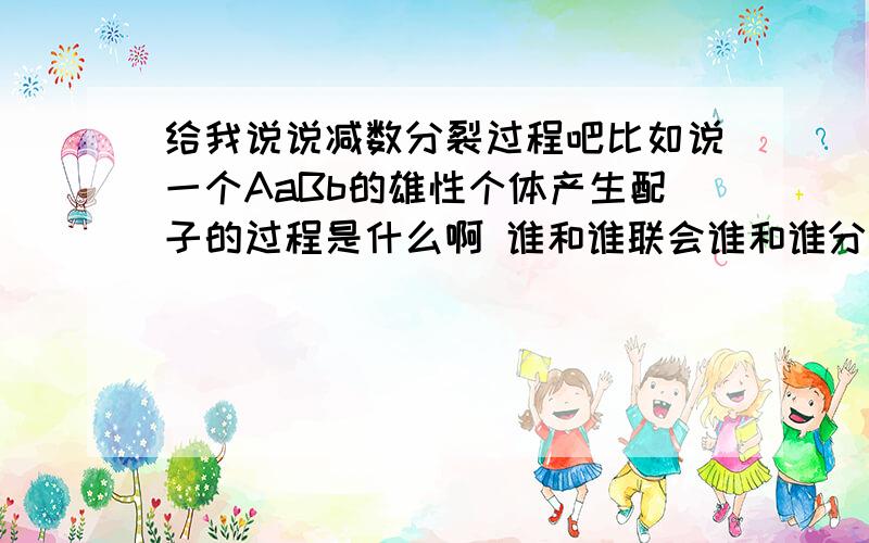 给我说说减数分裂过程吧比如说一个AaBb的雄性个体产生配子的过程是什么啊 谁和谁联会谁和谁分离在自由组合啊