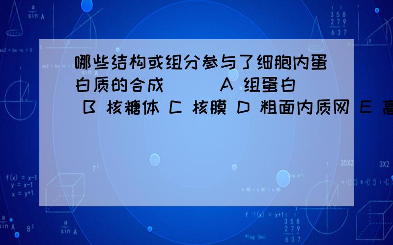 哪些结构或组分参与了细胞内蛋白质的合成( ) A 组蛋白 B 核糖体 C 核膜 D 粗面内质网 E 高尔基体哪些结构或组分参与了细胞内蛋白质的合成（   ）A 组蛋白  B 核糖体  C 核膜  D 粗面内质网  E