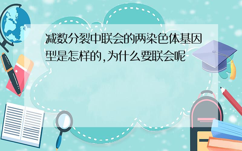 减数分裂中联会的两染色体基因型是怎样的,为什么要联会呢