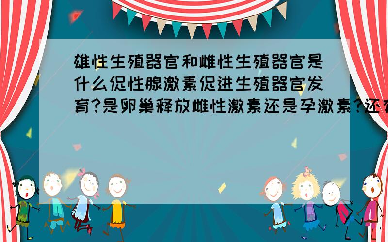 雄性生殖器官和雌性生殖器官是什么促性腺激素促进生殖器官发育?是卵巢释放雌性激素还是孕激素?还有是哪种是促进子宫发育?