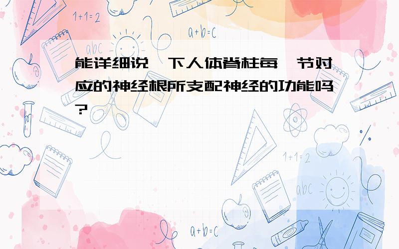 能详细说一下人体脊柱每一节对应的神经根所支配神经的功能吗?