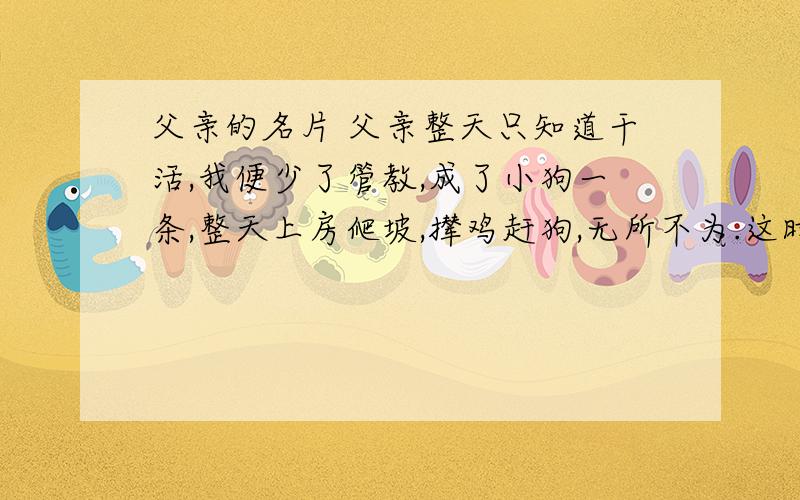 父亲的名片 父亲整天只知道干活,我便少了管教,成了小狗一条,整天上房爬坡,撵鸡赶狗,无所不为.这时,村里人每见父亲,总是笑着打趣：“老三,你可养了个好儿子!”父亲脸一红,摇头叹息：“