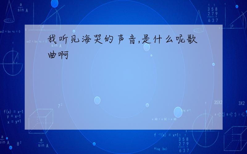 我听见海哭的声音,是什么呢歌曲啊