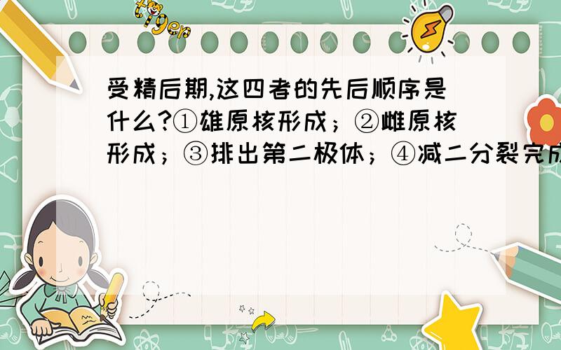 受精后期,这四者的先后顺序是什么?①雄原核形成；②雌原核形成；③排出第二极体；④减二分裂完成