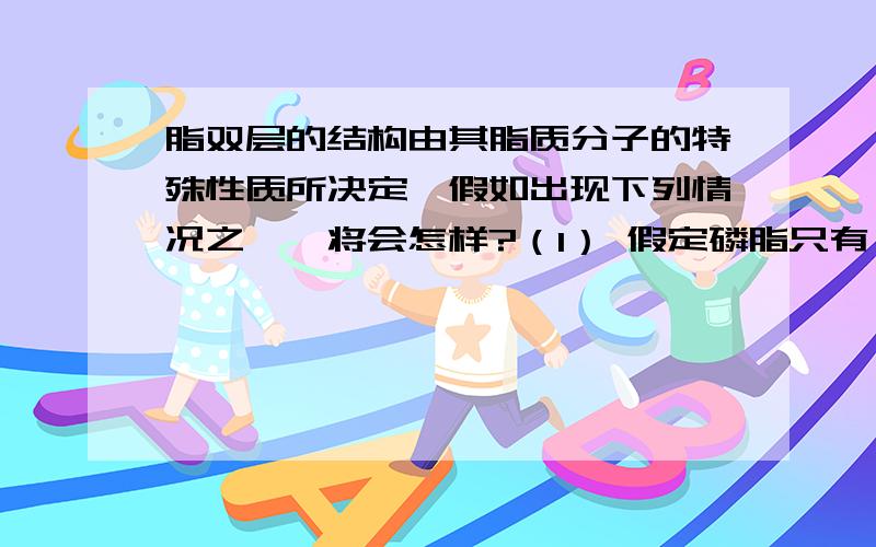 脂双层的结构由其脂质分子的特殊性质所决定,假如出现下列情况之一,将会怎样?（1） 假定磷脂只有一条烃链而非两条?（2） 假定烃链比正常的短,例如只有约10 个碳原子长?（3） 假定所有的